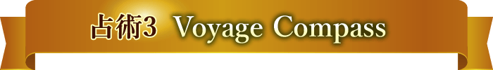 3Voyage Compass